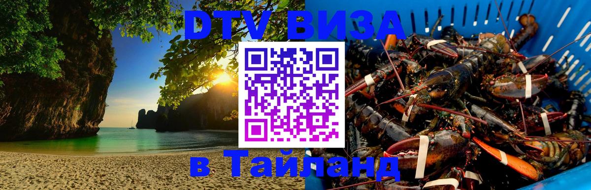 Оформление DTV визы под ключ: стоимость и тарифы, только загранпаспорт - Санкт-Петербург 